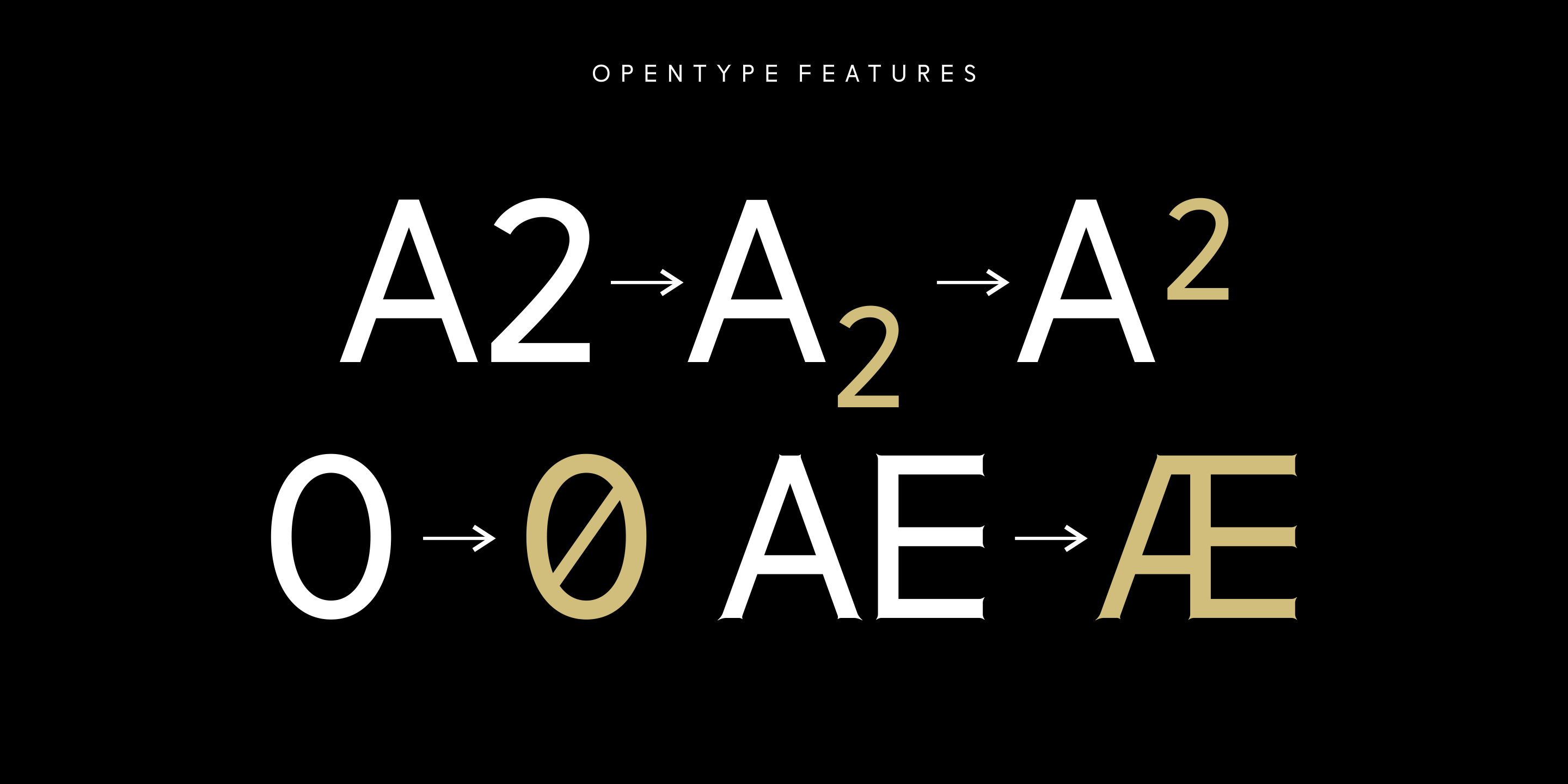 Ostende Gothic Typeface - OpenType features