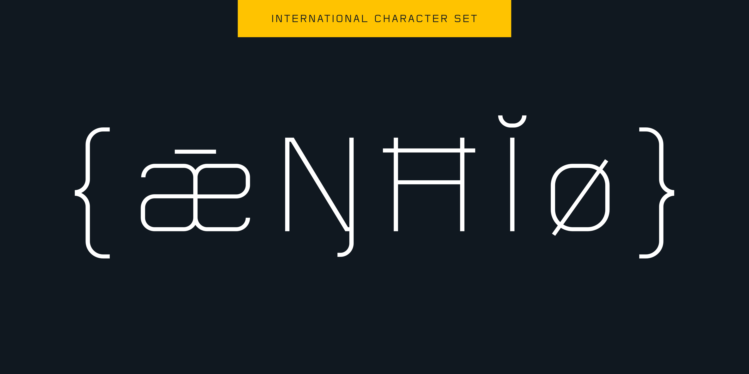 Flat Sans Typeface - international character set.