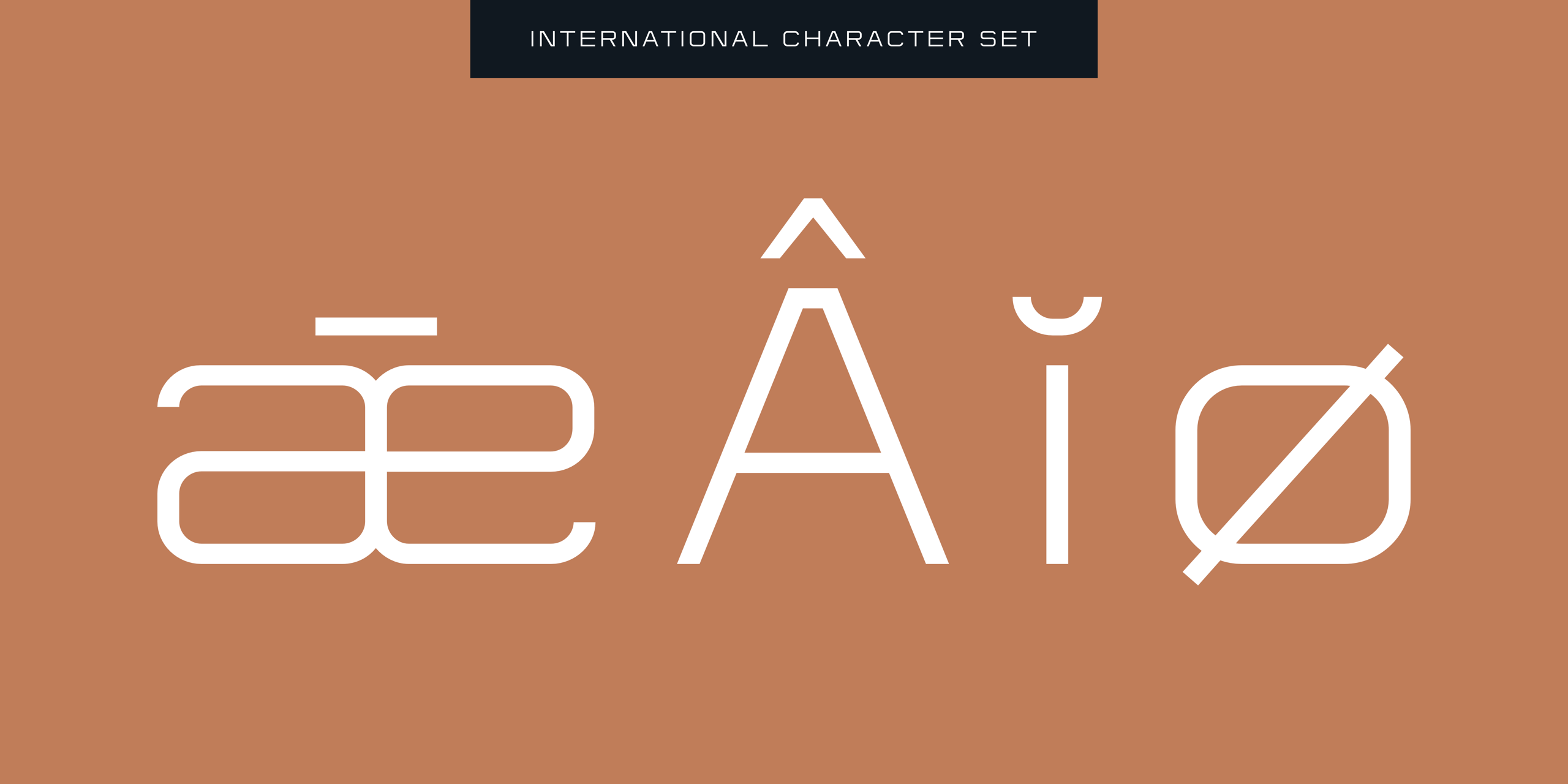 Flat Sans Extended - international character set.