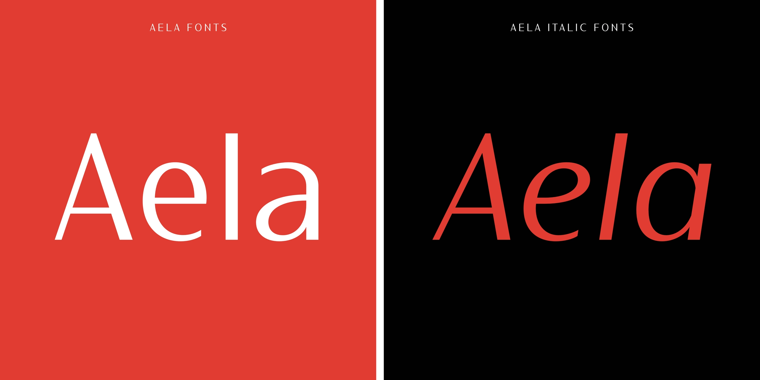 Aela Typeface - italic fonts