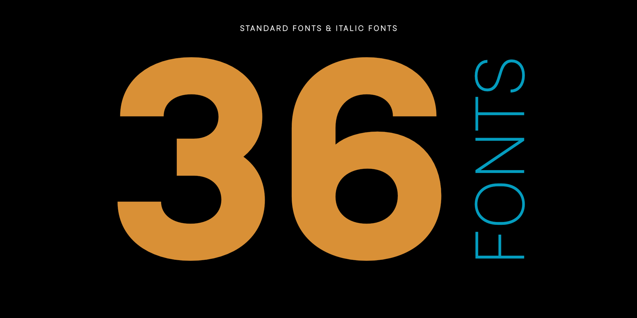 Coin font family comprises 36 fonts and 4 variable fonts.