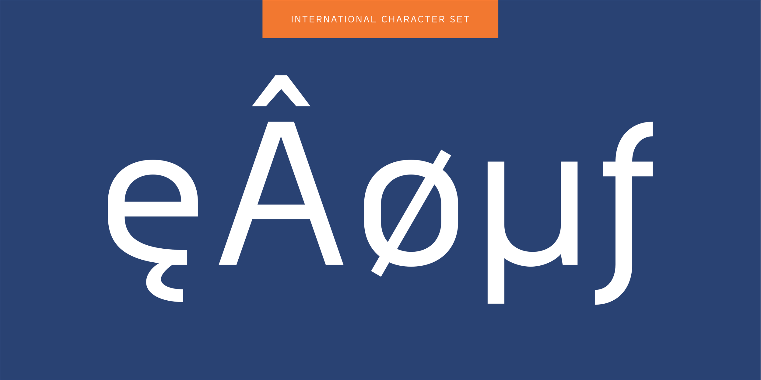 Bilbao Sans Typeface - International charcter set.